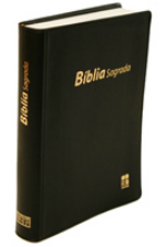 Bíblia Sagrada DN 42